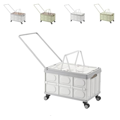 ZekonoL[J[g VbsOJ[g sNjbN ܂ݎ LX^[t y É  Lvp AEghAp ReiL[  RpNg Wt яoe @\ (DF̑^zC[vX`bNJo[)