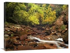 24 x 32 in. Zion Canyon Near Emerald Pools, Zion National Park, Utah Art Print - Tim Fitzharris