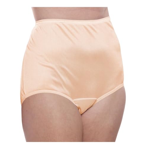 Image of Teri Women's 331 Plain Jane Classic Nylon Silky-Smooth Lightweight Breathable Full Coverage Brief Panty - 4 Pack
