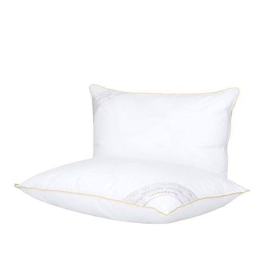 Kit Travesseiro 50x70cm Buddemeyer Toque de Pluma Algodão Branco 2 peças