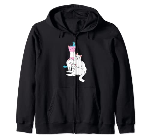 Chat transgenre LGBT-Q mignon chaton trans fierté drapeau couleur Sweat à Capuche