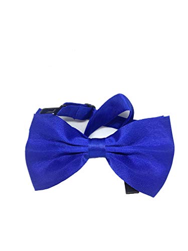 Takestop® Papillon Seta Blu Elettrico Royal