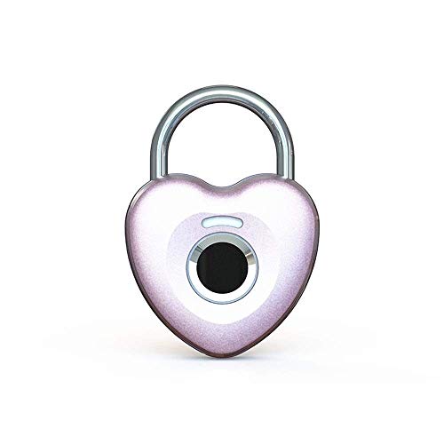 Fingerabdruck Vorhängeschloss Smart Touch Lock Metall wasserdichte Anti-Diebstahl intelligente Keyless for Turnhalle-Schließfach-Schule Locker-Rucksack-Koffer-Reisegepäck sunyangde Cover