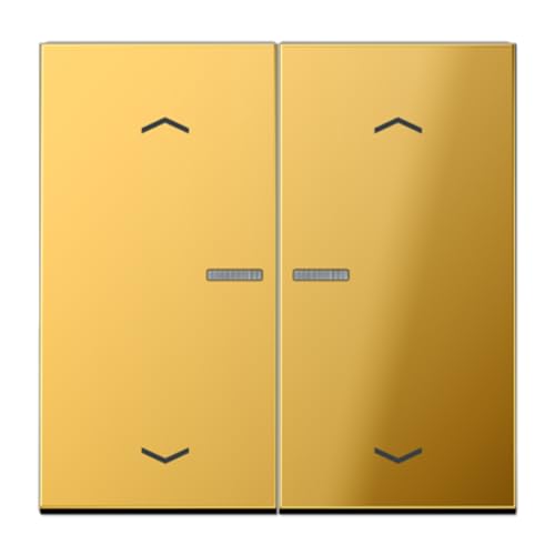 Bouton poussoir double volet JUNG doré pour salon chic