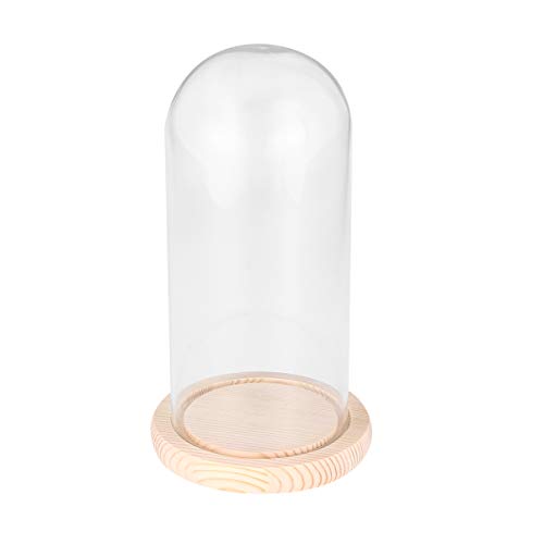 BESPORTABLE - 10 x 16 cm - Pantalla cúpula de Cristal para Bricolaje - Artesanía Transparente con Tapa con Base de Madera - Campana - Pantalla Domo para Oficina en casa, Cristal, Image 1, 9 * 24 cm