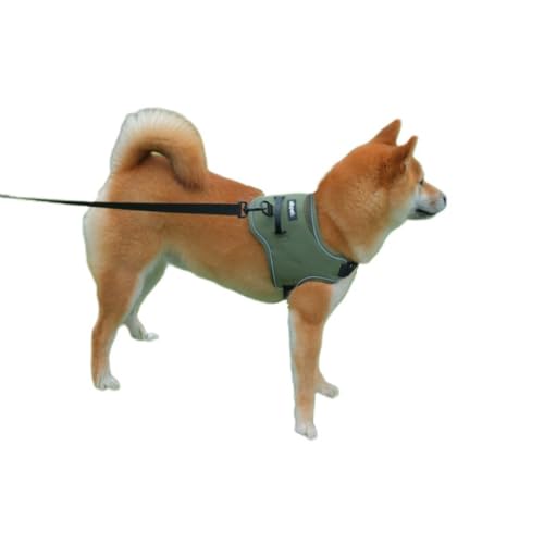 AIBPET 犬 ハーネス 耐久性 小型犬 中型犬 訓練 軽量 小型犬 通気性 大型犬 使い易く 犬用ハーネス 訓練用 引っ張り防止 反射材料 首輪 弾力性 調節可能 リード 介護 ペット用品 装着簡単 丈夫な作り (green, M)