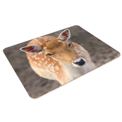 Set de table biche en liège grand format pour repas nature
