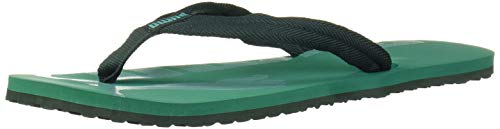 Image of Puma Unisex-Adult Epic Flip V2 Jr Sandal