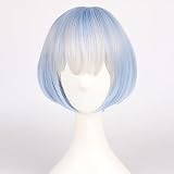 Anime Re Zero Starting Life in Another World Perruques Rem Ram Cosplay Perruque synthétique pour Halloween Carnaval Fête Cosplay Femme Perruque Rem