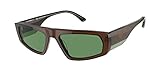 Brown/Green Emporio Armani GAFAS DE SOL EA4168 5910/2
