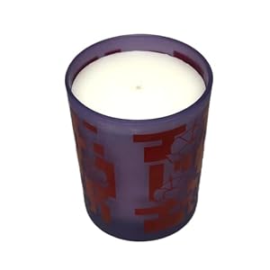 Diptyque Seoul City Candle 190g65oz Limited Edition