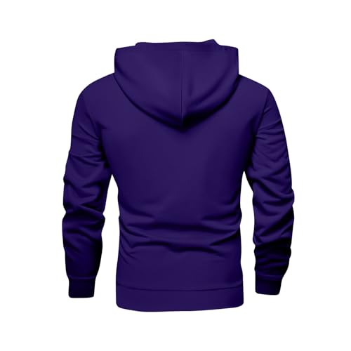 Mens Hoodies Classic Y2K Streetwear Big and Tall Hoodies Soft Workout Long Sleeve Baggy Pockets Fall Winter Clothes2
