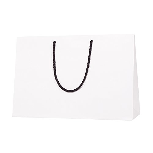 ヘイコー 手提 紙袋 ブライトバッグ 45-13 マット シロ 45x13x30cm 10枚