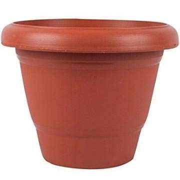 See full amazon price history chart for Charu Gold Plastic Pot, Brown, 12 inch, 12 Pc Charu Gold Plastic Pot, Brown, 12 inch, 12 Pc (B083FXNY2T) Amazon Price History, Amazon Price Tracker