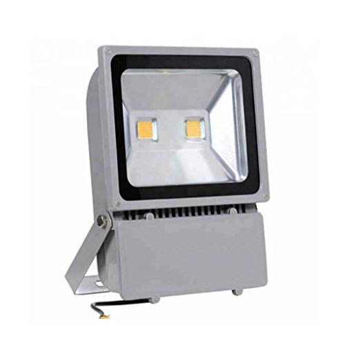 LED Flood Light 100W, Super Bright Security Lights IP65 Waterproof Spotlight for Patio Square Billboard Court (Color : Warm White)
