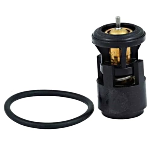 �T�[���X�^�b�g �t�H���N�X���[�Q���݊��i �|�� 6NARC 2000�N�`2001�N 80���J�� O�����O�t��