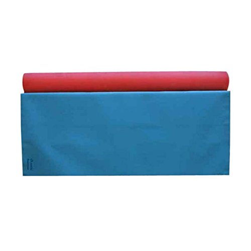 ANS Baby Rubber Sheet Mackintosh/Mattress Protector for Home and Hospital Soft and Original (3 Meter Length and Width 1 Meter i.e 3ft x 10 ft Appx)