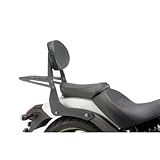 Customacces RQ0045N Sissybar Nicht Demontierbar für Kawasaki