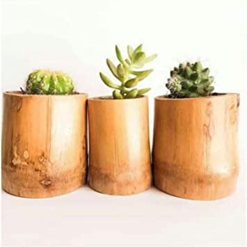 Benstar Hanging pots for Plants, Natural Bamboo Planter. Hanging pots for Plants Indoor, Hanging pots for Plants Balcony (Table Top 3 Piece (B0C1PBPTD2) Amazon Price History, Amazon Price Tracker