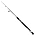 Daiwa Beefstick Surf Spin Rod, 2 Piece