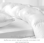 Luxury Goose Down Comforter Queen Taille 100% Coton biologique Coquille de plume d'oie, garni de plume et de fibre de fond 100 OZ - Toute la saison Duvet blanc Insert-750 Puissance de remplissage... 8 Onglets d'angle