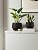LE TAUCI Plant Pots, 4.1+5.1+6.5 inch, Set of 3, Ceramic Planters with Drainage Hole and Saucer, Indoor Flower Pot with Hole Mesh Pad, Gifts for Mom