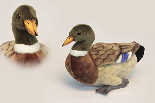 Peluche Colvert HANSA 34cm : cadeau idéal passionné de chasse et ornithologie