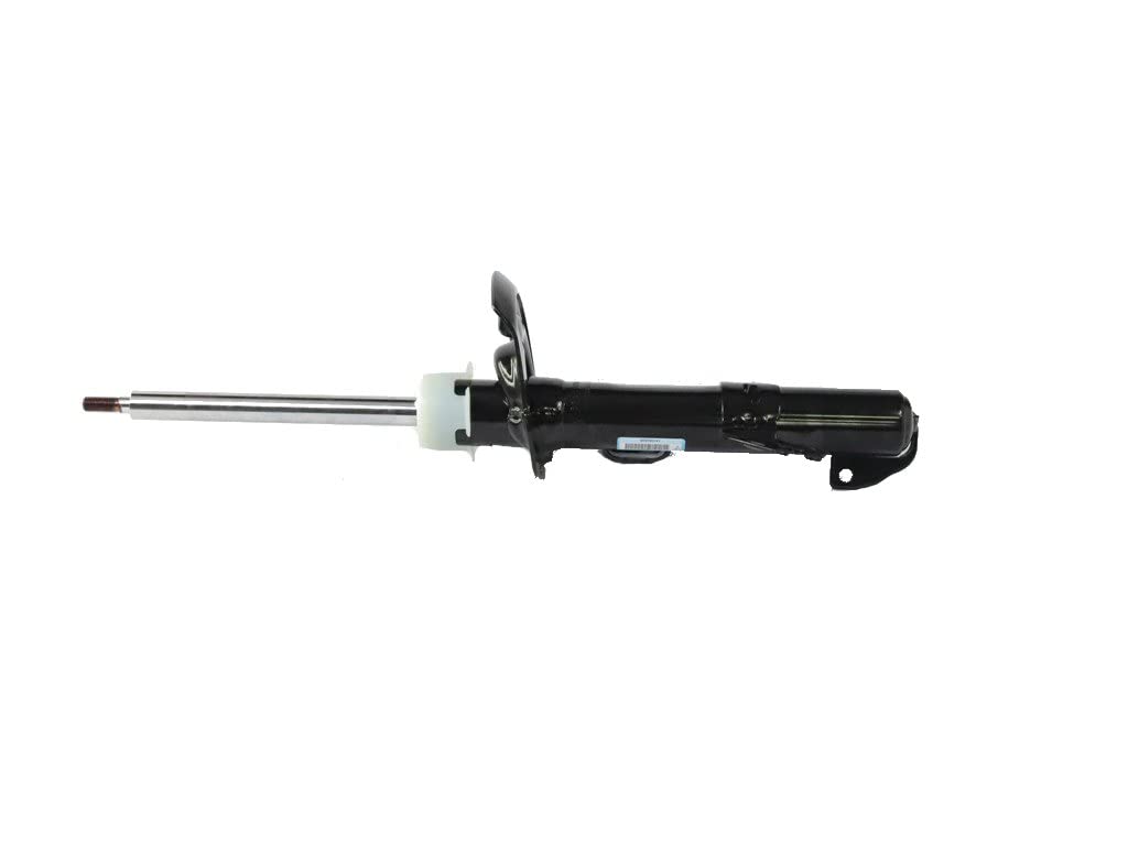 Amazon.com: Front Suspension Strut, Left : Automotive 