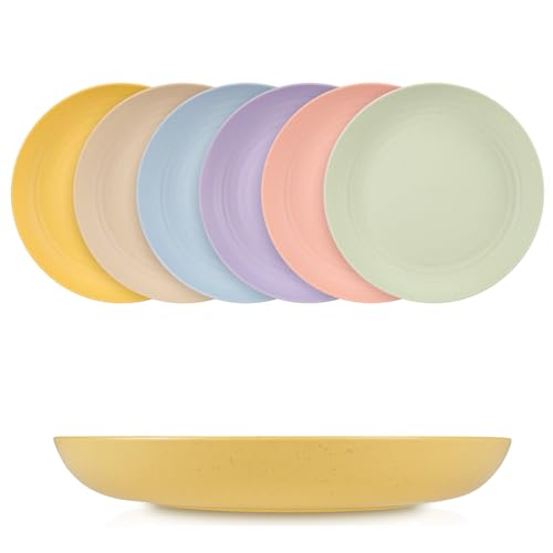 Weinsamkeit 6 Piezas de Platos de Plástico para Cena, Placas Reutilizables Irrompibles de 9 Pulgadas / 23 CM para Placas de Plástico Aptas para Microondas y Lavavajillas al Aire Libre