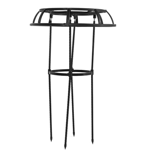 Naroote Pflanzenunterstützung, Rostfrei, Leicht zu Montieren, Topf -Stützkäfig, Stabile Struktur, Robuste Regenschirmform für Terrassenrosen (2 Schichten)