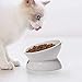 Y YHY Cat Bowl Anti Vomiting, Raised Food Bowls, Tilted Elevated Bowl, Ceramic Pet Food Bowl for Flat Faced Cats, Small Dogs, Protect Pet's Spine, Dishwasher Safe (5 Inches, White)
