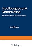Kreditvergabe und Verschuldung: Eine risikotheoretische Untersuchung