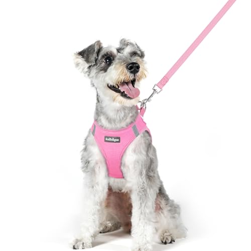 Image of rabbitgoo Dog Harness Medium Sized and Leash Set, Step-in Puppy Pet Vest