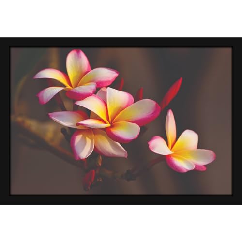 Image of Mad Masters Flower Nature Beauty Painting Aesthetic Hanging Photo Frame Decorative Item Home Decoration and Wall Decor for Living Room and Bedroom (MM 2835, 8x12 Inch, Canvas, With Plexi Glass)