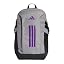 Ch Solid Grey/Active Purple
