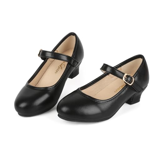 ChuLian Girls Dress Shoes Pumps Low Heel Princess Shoes Flower Wedding Party Shoes for Toddler Little Kids