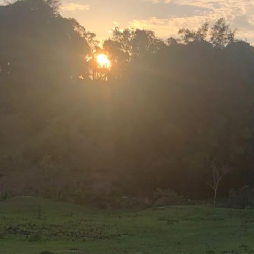 EdifyingWords (Portugu&ecirc;s) copertina