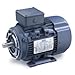 Leeson Electric Leeson Motors Motor IEC Metric Motor-25HP, 230/460V, 3550/2950RPM, IP55, B3/B14, 1.15 SF, 91 Eff.