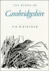 cambridgeshire news fire  The Birds of Cambridgeshire