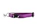 RC Pets Primary Collection Kitty Breakaway Collar, Purple