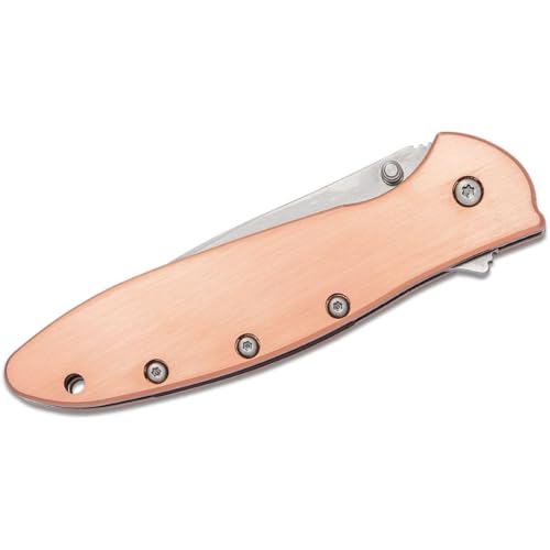Image of Kershaw Leek, BlackWash Pocket Knife (1660BLKW); 3 Sandvik 14C28N Steel Blade, 410 Stainless Steel Handle, BlackWash Finish, SpeedSafe Assisted Open, Frame and Tip Locks, Reversible Pocketclip; 3 OZ