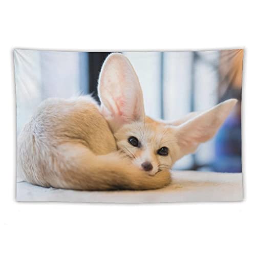 Qlazo Animal Fennec Fox Snow White Big Ears Cute Looking Tapestry Wall Tapestry Wall Hanging Decor Wall Art For Bedroom Living Room Dorm Picnic 40"X60" #TOP4