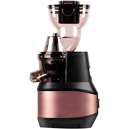 ERoomQ Juicer Juicer, Household Small Stainless Steel Large Caliber Juice Machine Slow Speed Slag Juice Separation Raw Juice