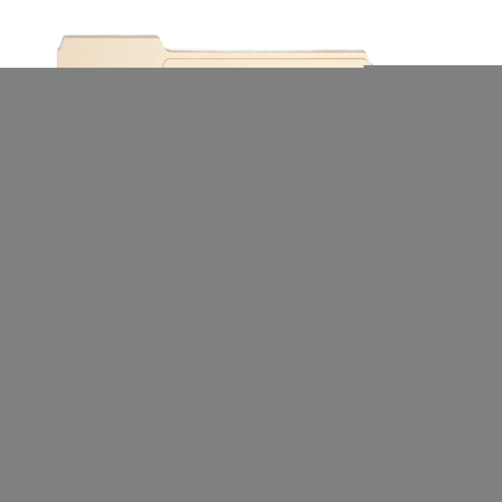 Cartelline Per Documenti Organizer Documenti Per Archiviazione Fatture, | Cartelle Da Schedario Con Linguette 1/3 per Ufficio Domestico, Organizzazione Scolastica, Gestio