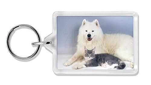 Preisvergleich Produktbild Advanta - Keyrings Samojeden und Katze Foto Schlüsselbund TierstrumpffüllerGeschenk