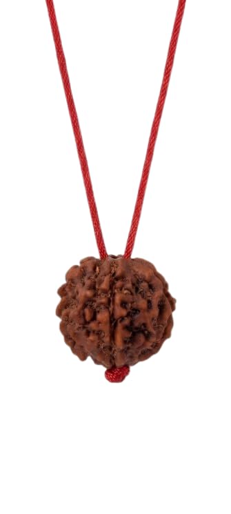Natural 5 Mukhi Rudraksha Pendant with Red Thread Necklace | Original Rudraksha Bead Mala for Meditation Yoga Spiritual Healing Puja and Daily Wear for Men & Women-image-46