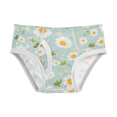 KLL Polka Dots and Tender Chamomile Flowers Toddler Boy Comfort Training Underwear Breathable Children Undies