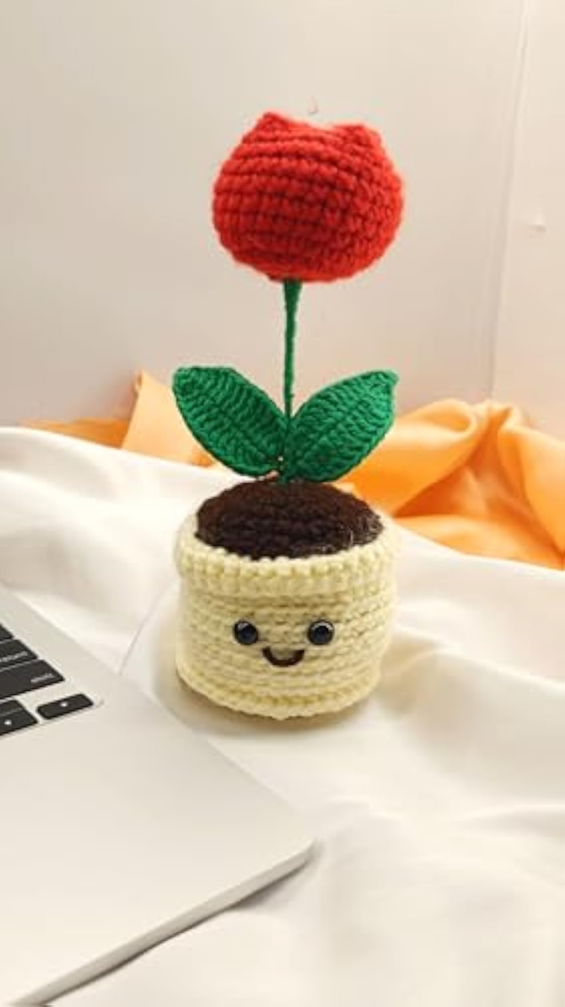 Red Tulip Mini Pot with Smiley Face