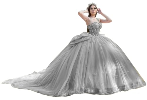 BESELE Luxury Quinceanera Dresses Silver with Butterfly Puffy Sweet 16 Dresses Spaghetti Straps Crinolinas Dresses for Quinceanera 6