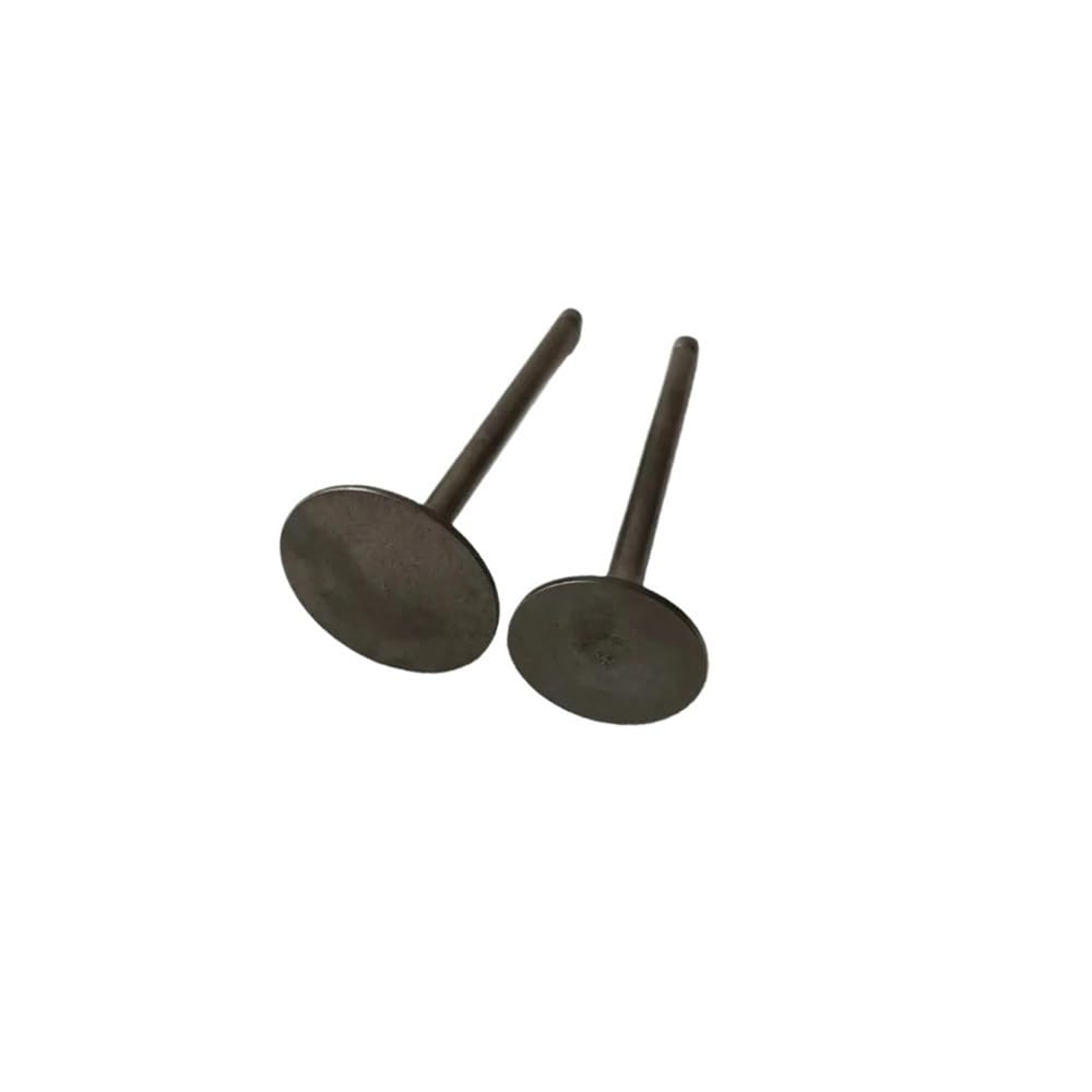 Exhaust Valve Fit for Linhai 260 300 Engine Part 22602